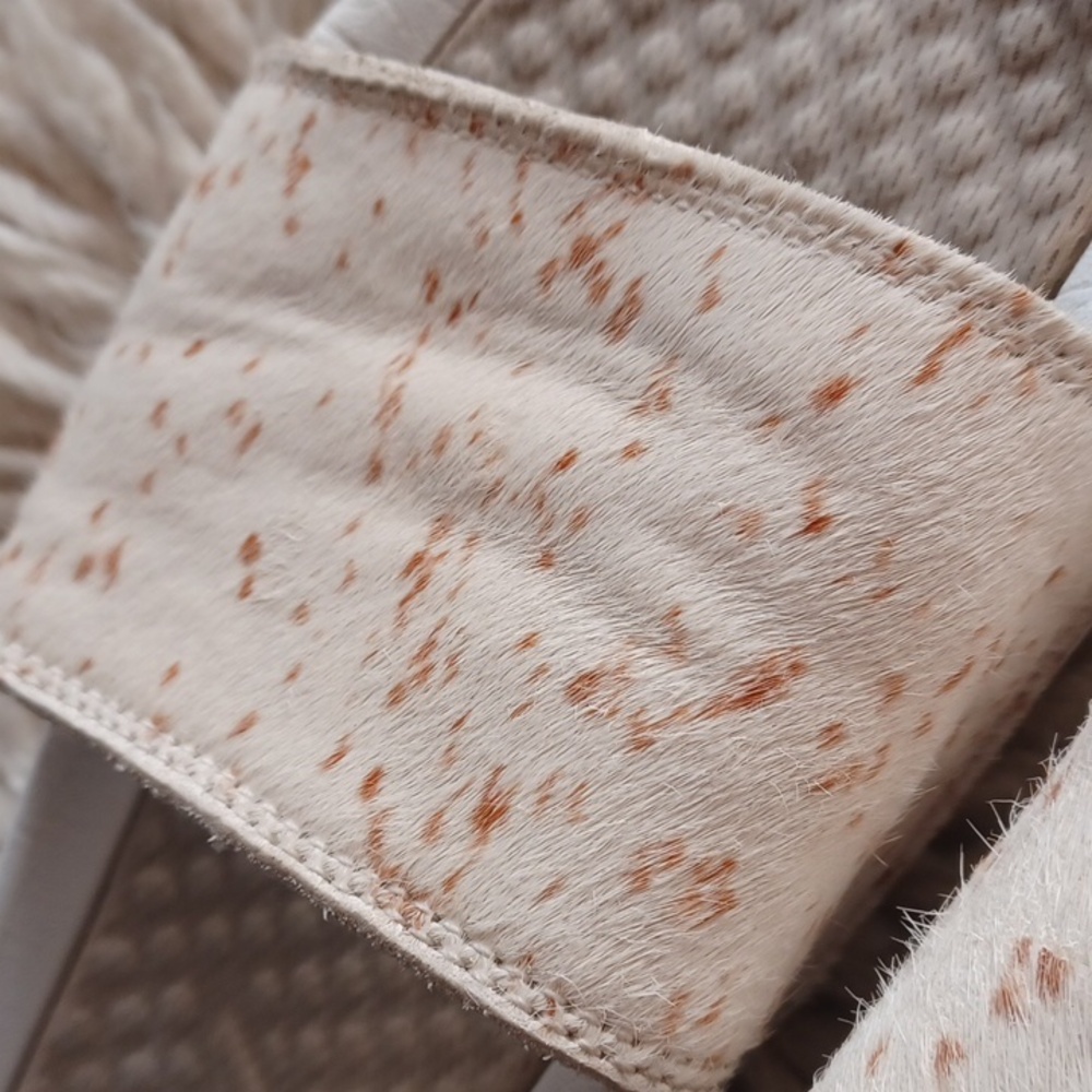 Apl Slides - image 8